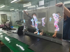 AMOLED Display Module