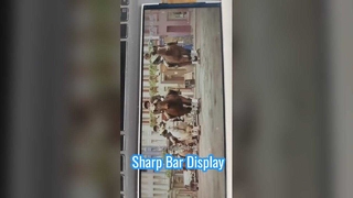 8.6 inch  bar type display