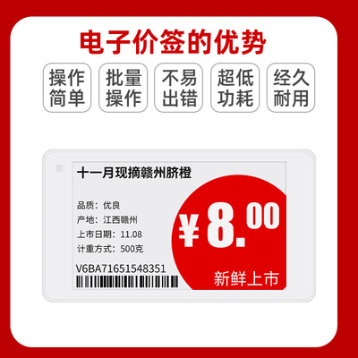 4 Inch white and black Epaper Display 480*800 Dot Matrix Colour Eink Display SPI interface