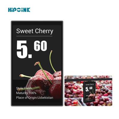 10.1 inch Full Color LCD TFT Display for Electronic Shelf Label with High Resolution and WIFI