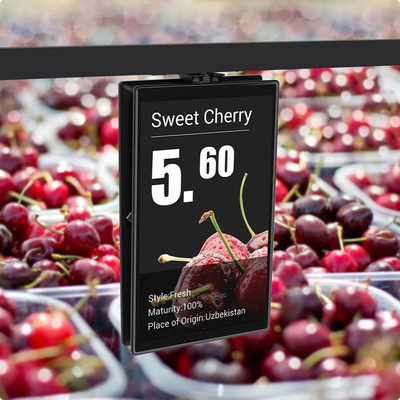 10.1 inch Full Color LCD TFT Display for Electronic Shelf Label with High Resolution and WIFI