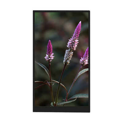 5.5 Inch TFT Display Screen 720*1280 Resolution MIPI Interface IPS