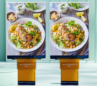 2.88 Inch  TFT Display Module 480*640 Resolution 400cd Brightness GC9503V Driving IC    MIIPI 2l/RGB16 Bit Interface