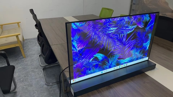 30 Inch Transparent Oled Display Panel 1366*768 Resolution 135Nits LW300PXL-HRT1 Oled Transparent Oled Panel