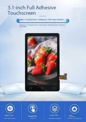 3.1" IPS TFT LCD Module with 480x800 Resolution and MIPI Interface for Security Equipment