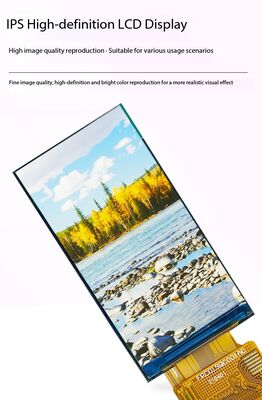 1.9 Inch TFT Color Display with 170(RGB)*320 Resolution and RGB Interface