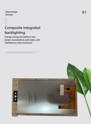 6.95 Inch with CTP IPS TFT Display 600X(RGB)*1024 Resolution MIPI Interface Driver IC ER88477 330nit  18LEDS ALL view Industrial display