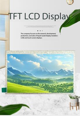5.0 Inch IPS TFT LCD Screen with 480X(RGB)*272 Resolution and RGB Interface