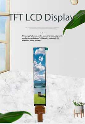 6.9 Inch IPS TFT Display with 280*1424 Resolution and MIPI Interface for Medical Equipment