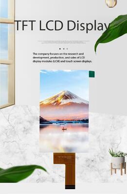 4.3 Inch IPS TFT Color Display with 480*800 Resolution and MIPI Interface