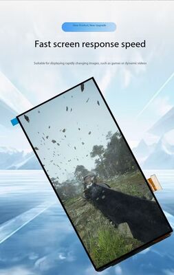6.01 Inch AMOLED Display Module with 500nit Brightness and 1080 x 2160 Resolution
