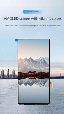 6.01 Inch AMOLED Display Module with 500nit Brightness and 1080 x 2160 Resolution