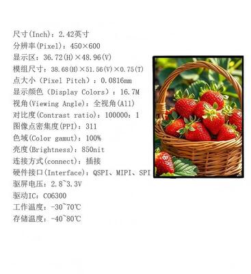 2.42 Inch AMOLED Display Module with 850nit Brightness and 450RGBx600 Resolution